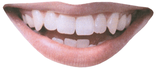 mouth